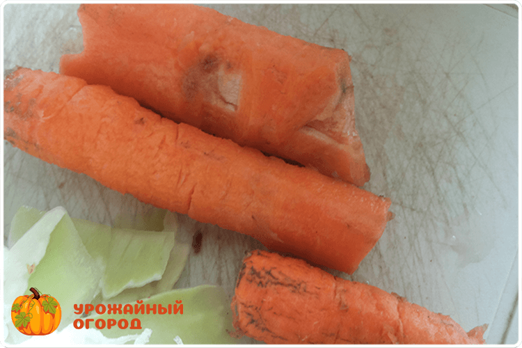 твердая морковка